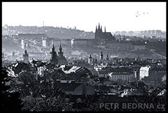 1 položka z fotogalerie, malé (thumbnail) ukázkové foto. Praha město I.