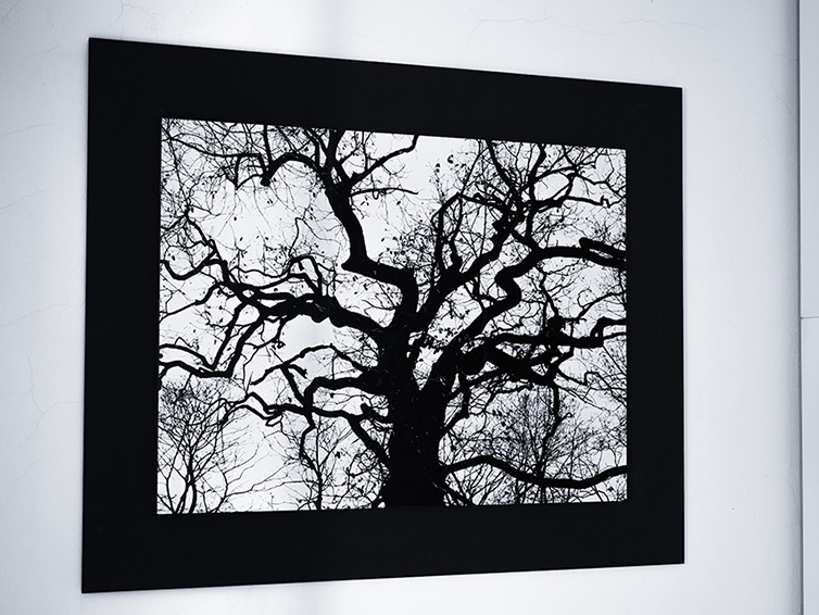 Adjustace - Framing 92 x 114 cm