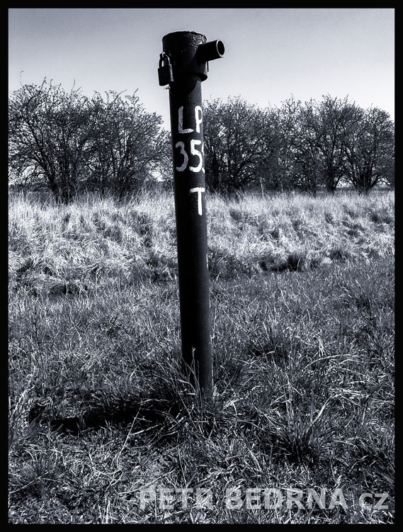 Hlavička s nosánkem a jednou náušnicí, meliorace, vodní nádrž Nové Mlýny, příroda, pole, Česko