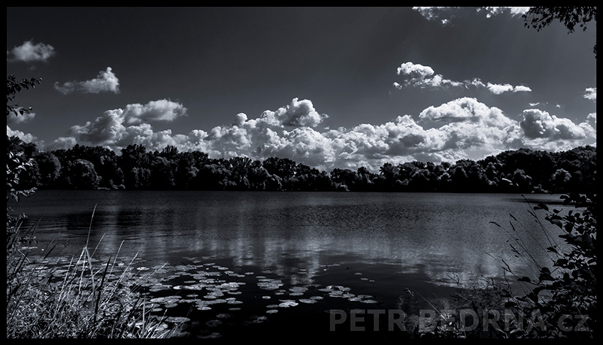 Jezero Ostrá, Lysá nad Labem, 2021