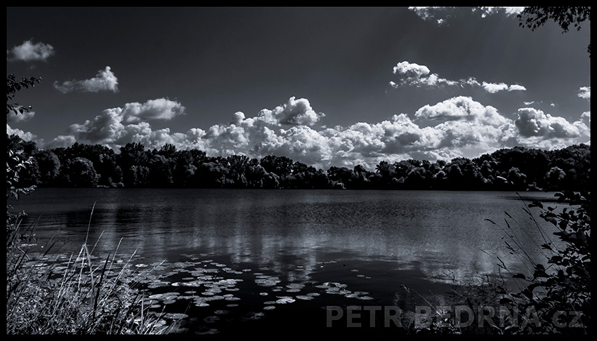 Jezero Ostrá, Lysá nad Labem, 2021