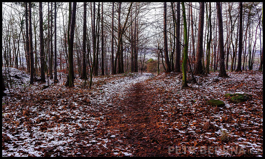 Listí, Pozdeň, Slaný, 2011, Zima