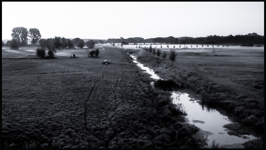 Mlha, louky, Klempenow, 2014, Burg Klempenow, Německo