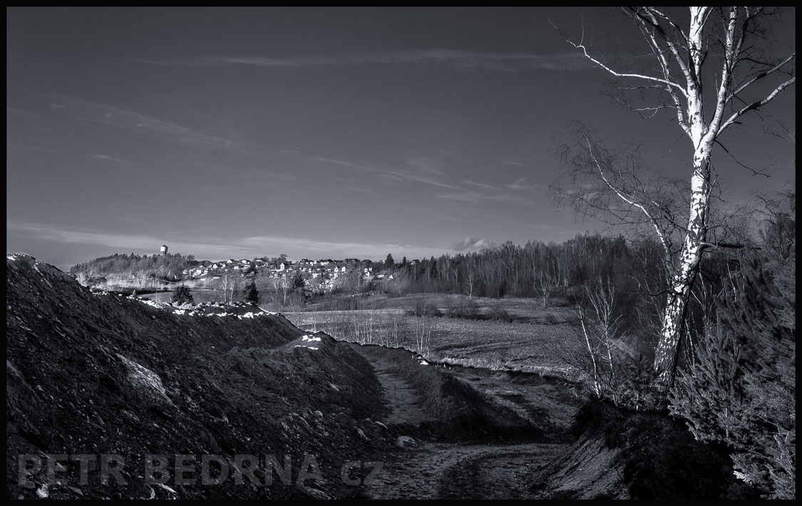 Tady bříza a na obzoru vodárna, Nové Strašecí, příroda, pole, obzor, obloha, les, krajina, Česko