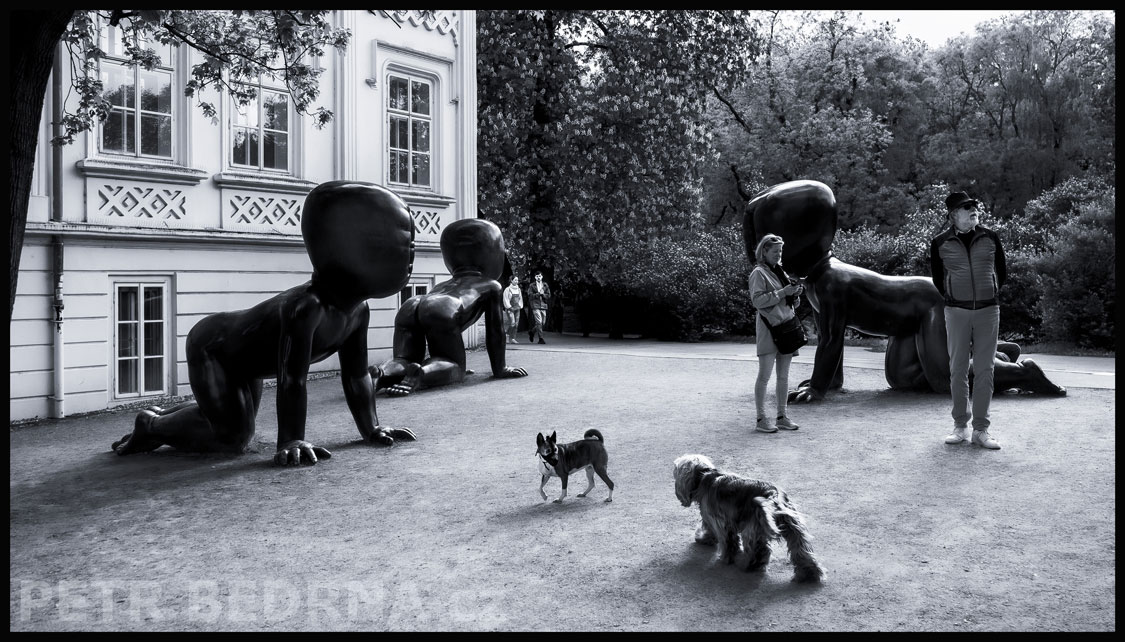 David Černý, Miminka a dva mlsní psíci, Praha - Kampa, Babies, Batolata, sochy, street foto, Česko