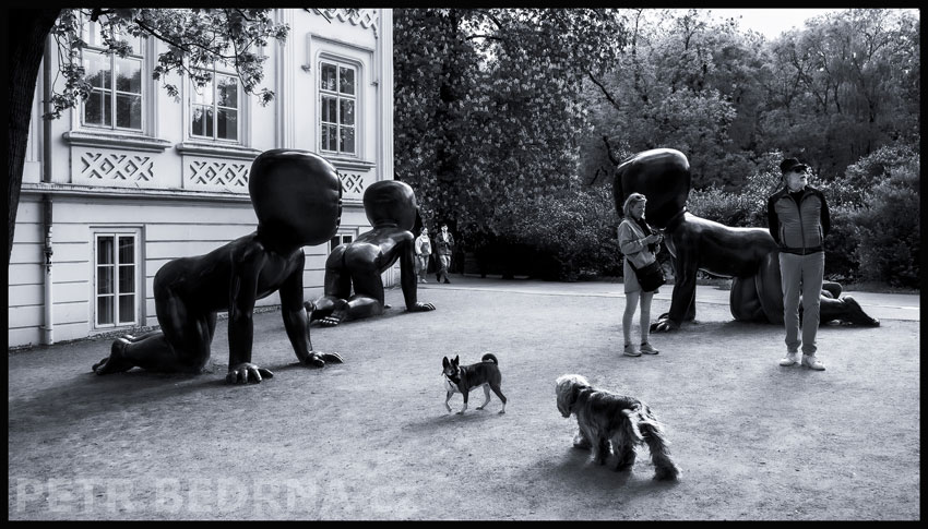 David Černý, Miminka a dva mlsní psíci, Praha - Kampa, Babies, Batolata, sochy, street foto