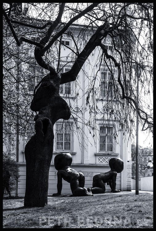 David Černý, Miminka pod černým jelenem, Praha - Kampa, Babies, Mimina, Batolata, sochy, street foto, Česko