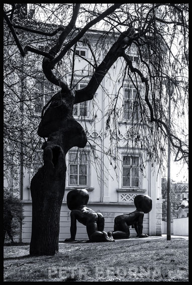 David Černý, Miminka pod černým jelenem, Praha - Kampa, Babies, Mimina, Batolata, sochy, street foto