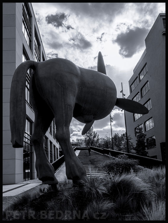 David Černý, Pegasové, Praha - Walterovo náměstí, sochy, street foto, mraky, Česko