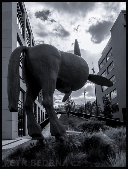 David Černý, Pegasové, Praha - Walterovo náměstí, sochy, street foto, mraky