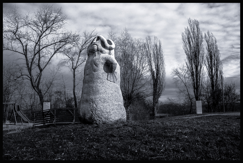 Žába, Roblín, 2016, Jaroslav Róna(2)