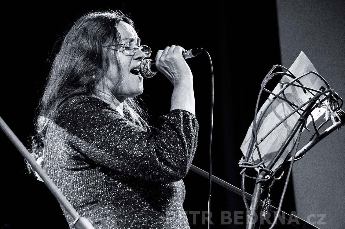 MTO Jana Hanáková, Slavonice - 7.8.2015, hudba, parodie improvizace, Česko