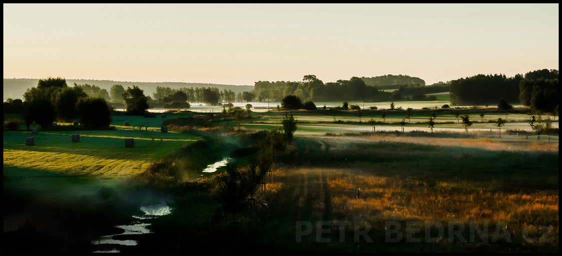 Ranní světlo, louky, Klempenow, stromy, příroda, krajina, mlhový opar, obzor, Německo