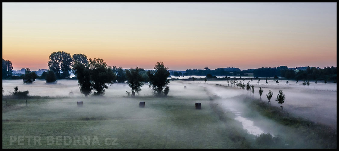 Sromy a potok v mlze, Klempenow, stromy, příroda, krajina, mlhový opar, Německo