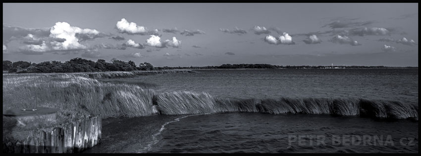 Tráva ve větru, Rujána, Kuhle, krajina, oblaka, obloha, obzor, Německo