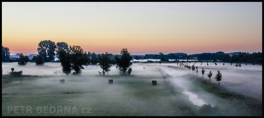 Tromy a potok v mlze, Klempenow, stromy, příroda, krajina, mlhový opar, Německo