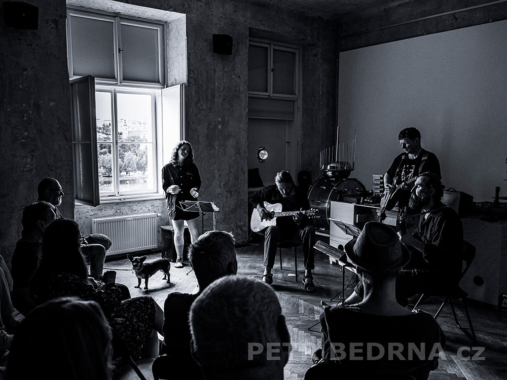 Petr Nikl, SmetanaQ Gallery, hudba, performace, improvizace, Česko