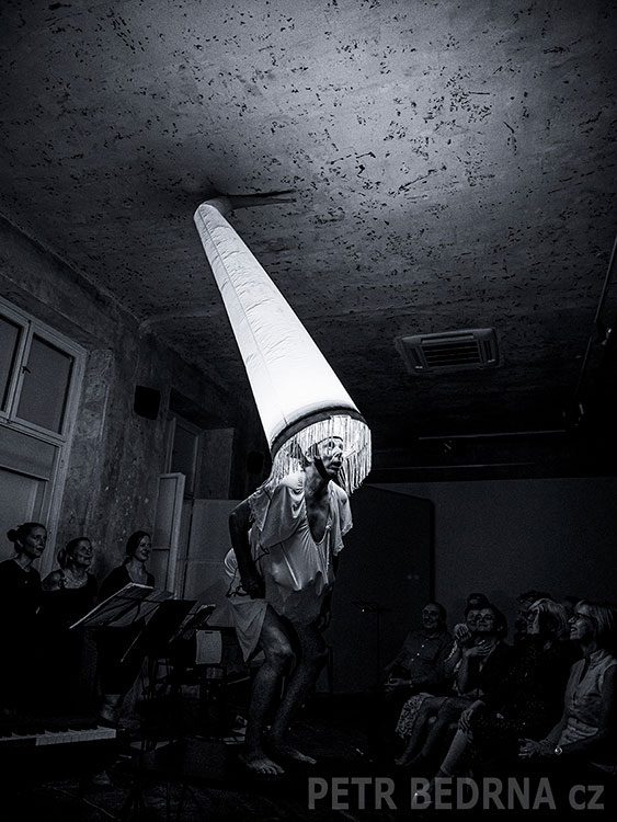 Petr Nikl, SmetanaQ Gallery, hudba, performace, improvizace, Česko