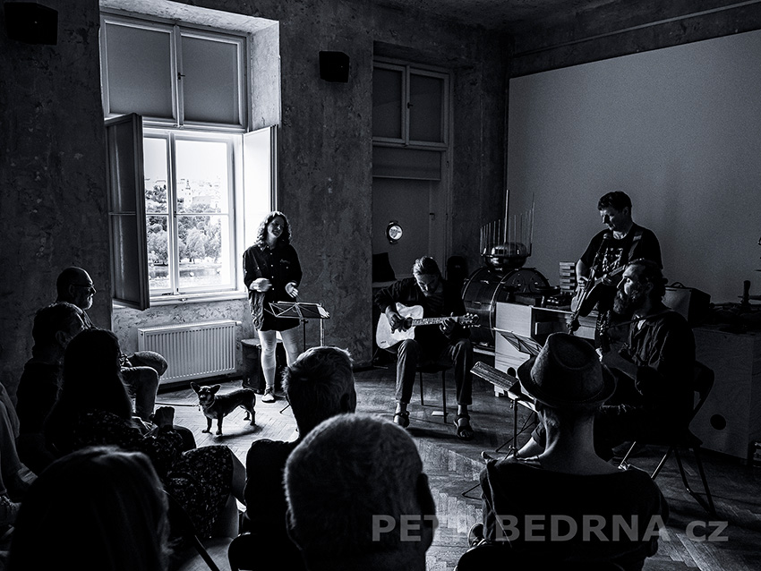 Petr Nikl, SmetanaQ Gallery(2)