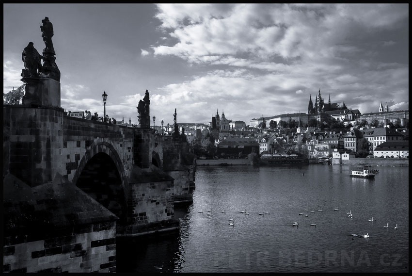 Karlův most, labutě, Hergetova cihelna, Vltava, Pražský hrad, Praha, obzor, oblaka, Česko