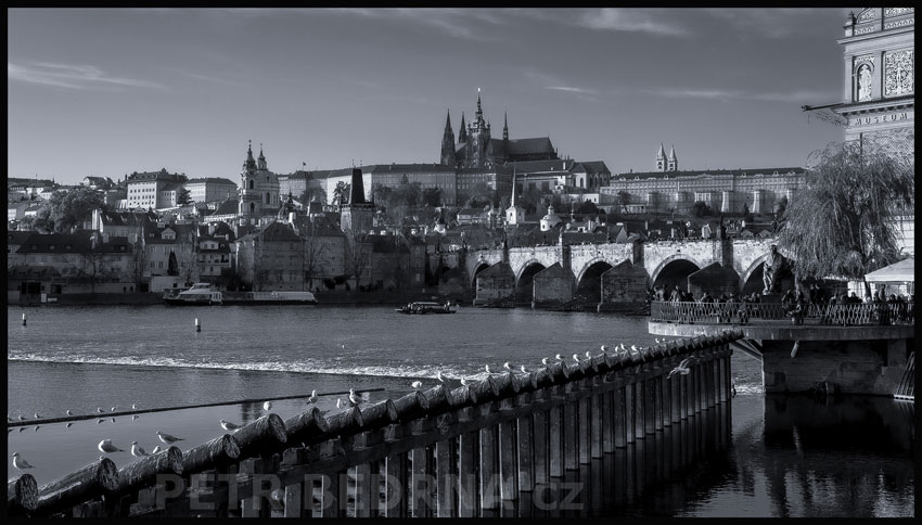 Karlův most, lodě a holubi, Hradčany - Pražský hrad, Vltava, Praha, Novotného lávka, Česko