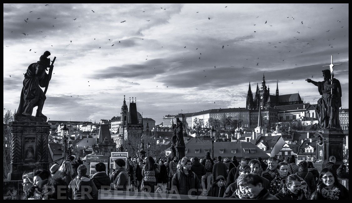 Karlův most, rackové na obloze, Pražský hrad, Praha, sochy Sv. Kryštof, sv. Jan Křtitel, Česko