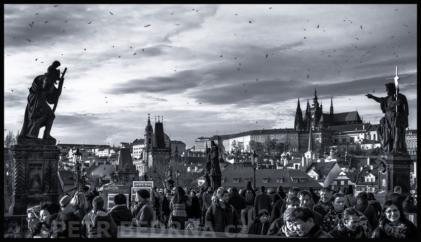 Karlův most, rackové na obloze, Pražský hrad, Praha, sochy Sv. Kryštof, sv. Jan Křtitel, Česko