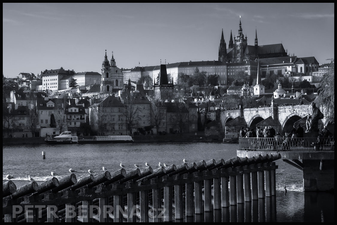 Novotného lávka, holubi, Karlův most, Vltava, Pražský hrad, Praha, historické budovy, obzor, Česko