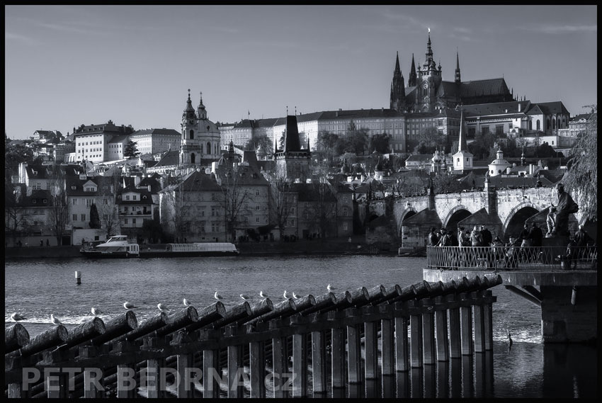 Novotného lávka, holubi, Karlův most, Vltava, Pražský hrad, Praha, historické budovy, obzor, Česko