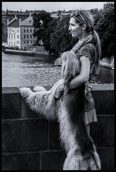 Afgánský chrt, Karlův most, Praha