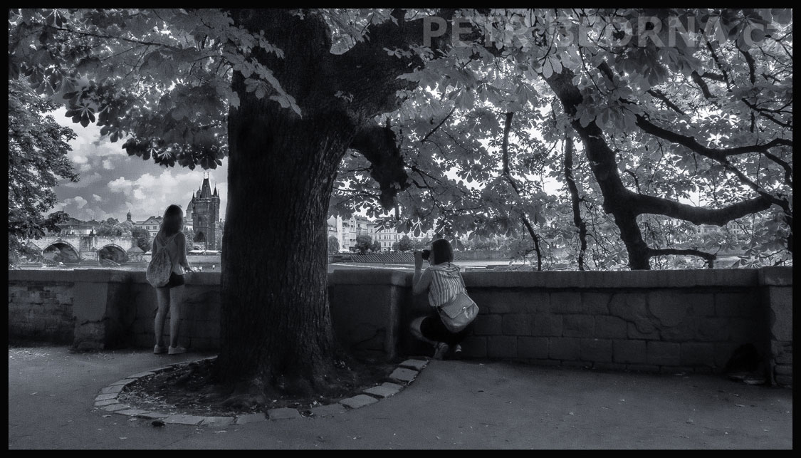 Kampa, dívky pod stromečkem, Karlův most, Praha, street foto, lidé, park, turisté, Česko