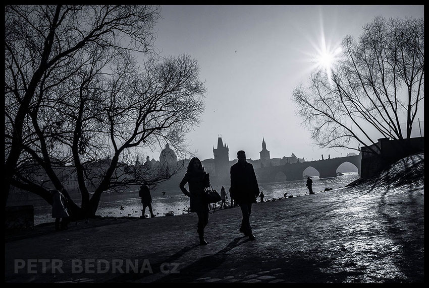 Karlův most, Malá Strana, Labutě, Praha(1)