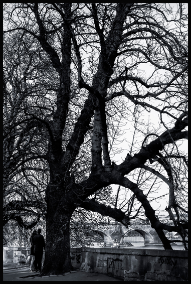 Pod stromem, Kampa, Karlův most, Praha