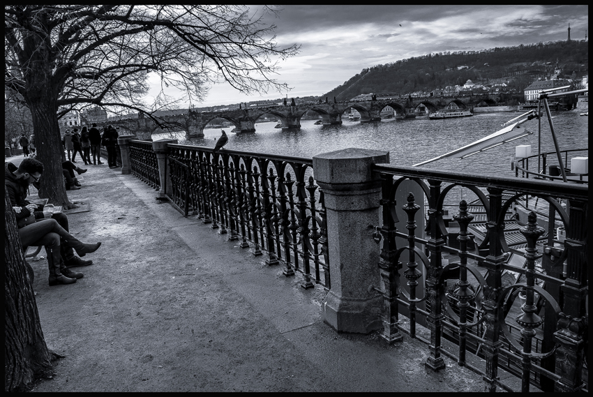Vltava, Petřín, Alšovo nábřeží, Karlův most, Praha