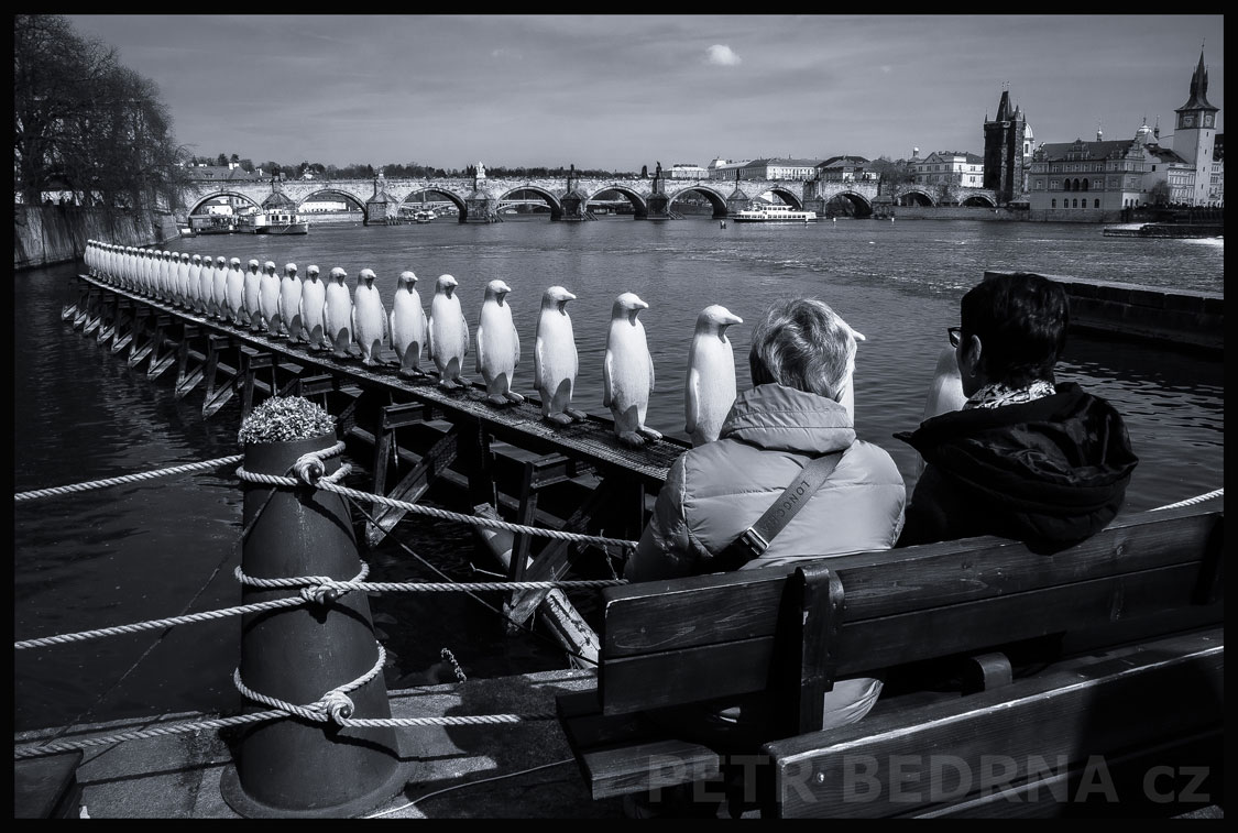 Žlutí tučňác, Karlův most, Kampa, Praha, Novotného lávka, lidé, street foto, obzor, park, turisté, Česko