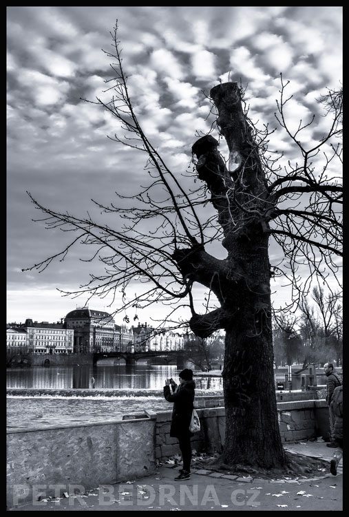 Dívka pod stromem, Vltava, Národní divadlo, Praha - Malá Strana, Kampa, street foto, park, Česko
