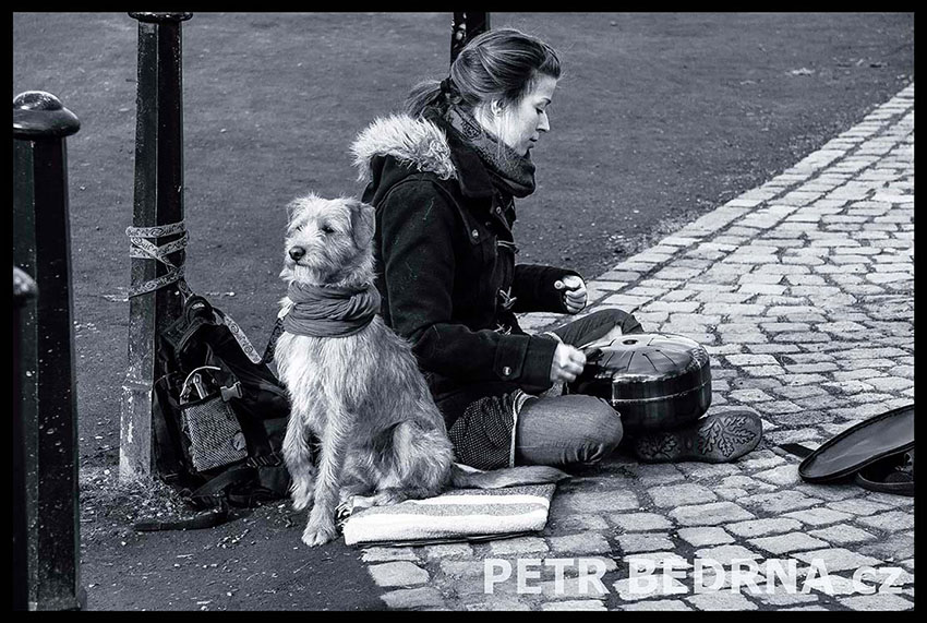 Malý psík, busking, Malá Strana, Kampa, Praha(2)