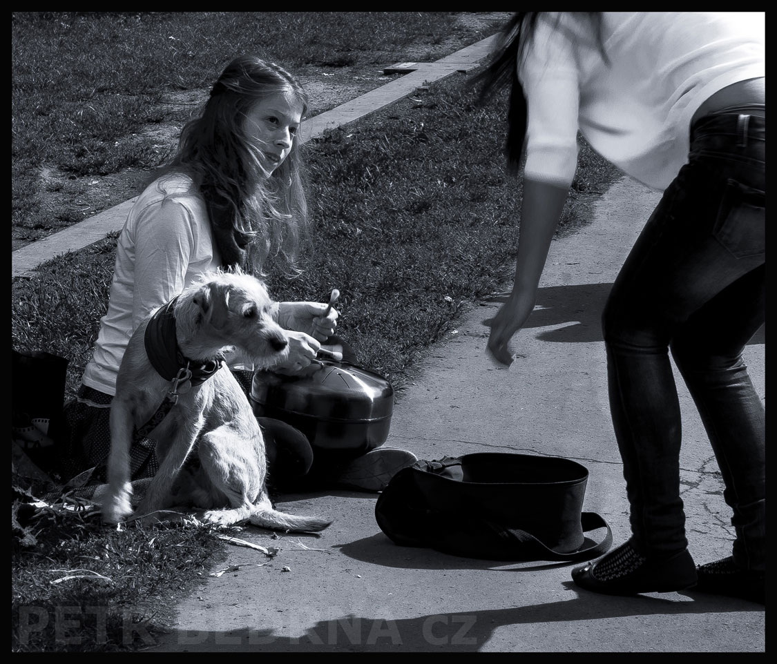 Mlsný psíček se dočkal - busking, Praha - Malá Strana, Kampa, street foto, park, Česko