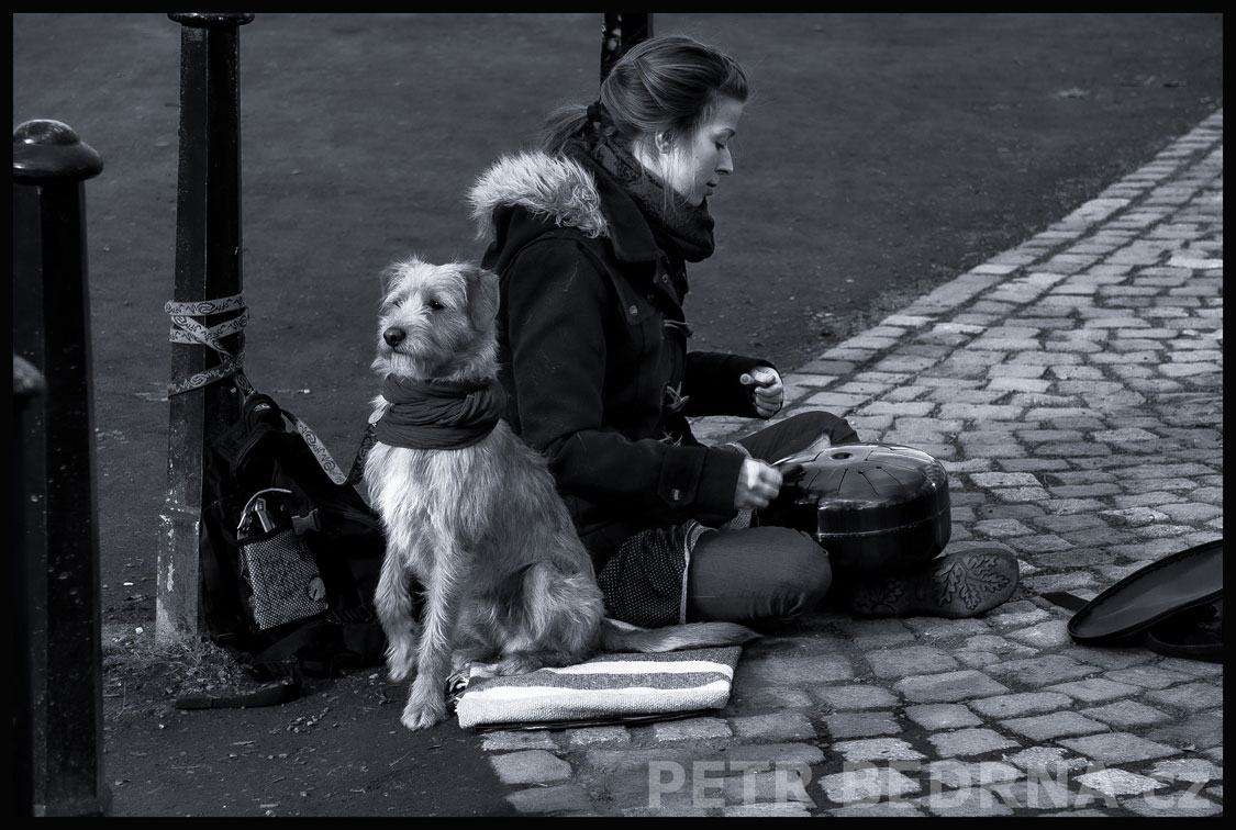 Mlsný psíček vyhlíží tržbu - busking, Praha - Malá Strana, busking, street foto, park, Česko