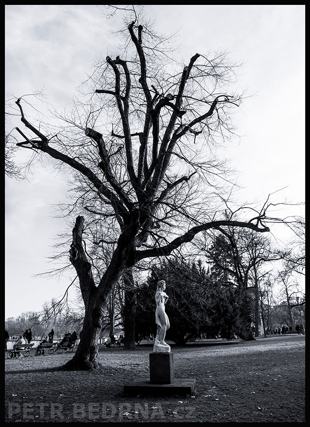 Socha Réva pod nahým stromem, Praha - Malá Strana, Kampa, street foto, park, socha Réva, Česko