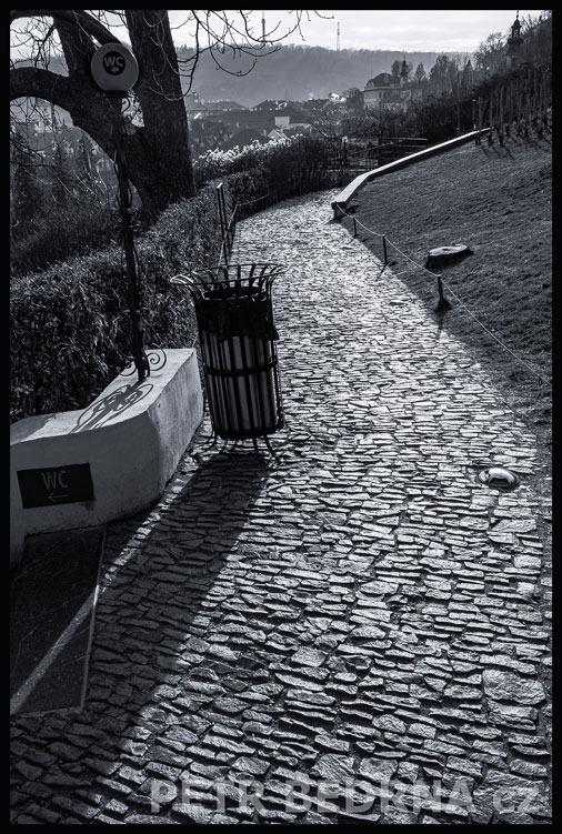 Svatováclavská Vinice, chodníček na sluníčku, Praha - Malá Strana, stromy, park, obzor, Česko