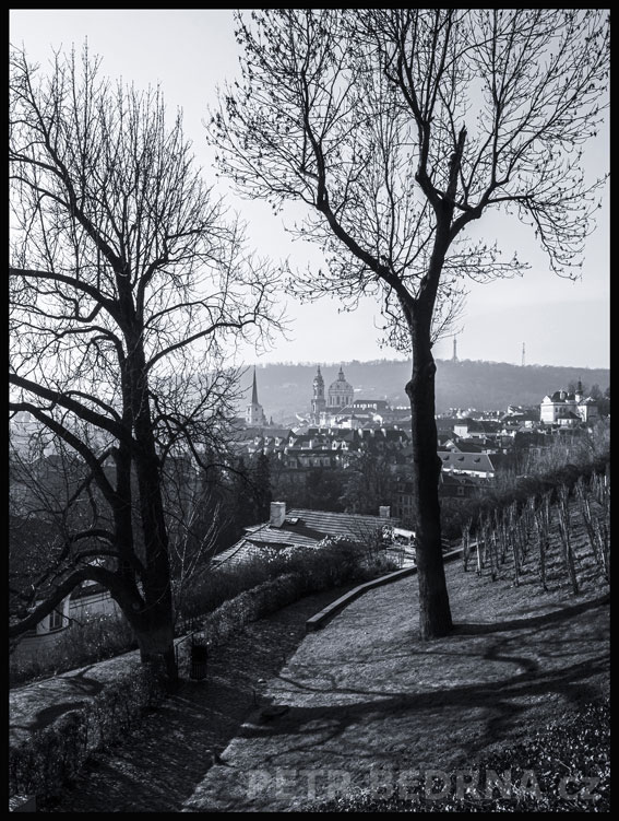 Svatováclavská Vinice, Petřín, Praha - Malá Strana, Malostranský chrám sv. Mikuláše, park, stromy, Česko