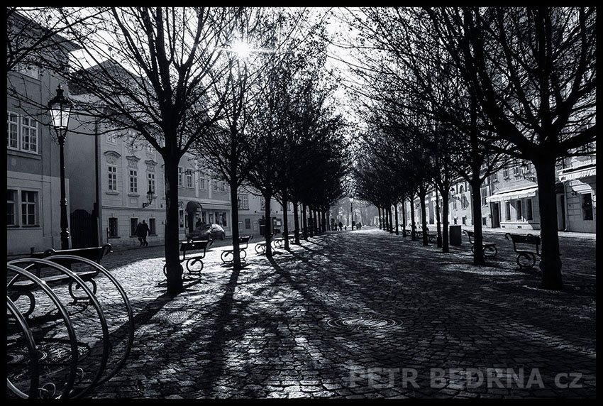 Ulice Na Kampě, Malá Strana, Stromořadí, Praha