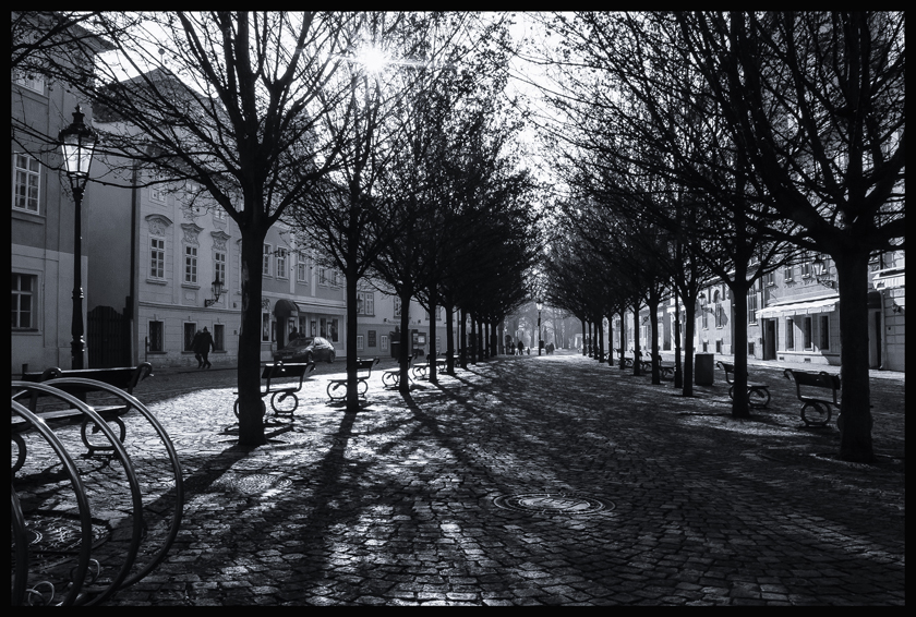 Ulice Na Kampě, Malá Strana, Stromořadí, Praha