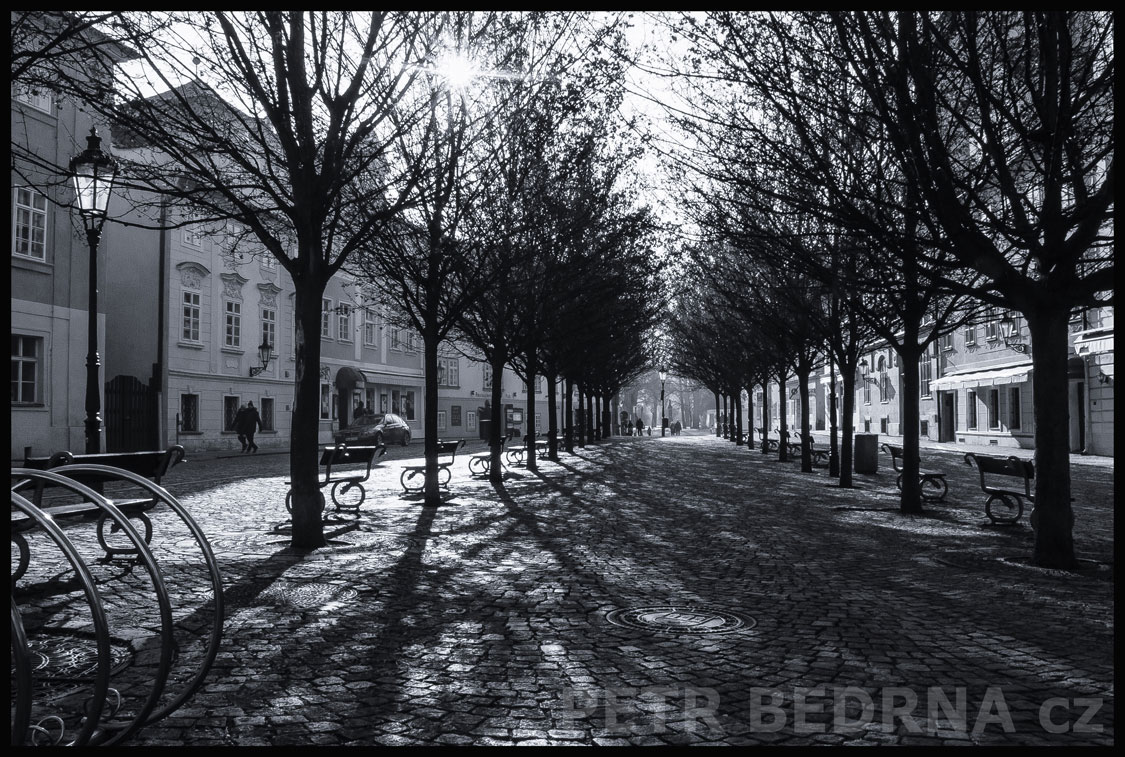 Ulice Na Kampě, stromořadí, lavičky, Praha - Malá Strana, street foto, stromy, park, Česko