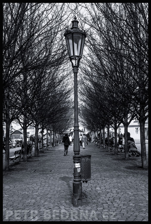 Ulice Na Kampě, stromořadí, lucerna, Praha - Malá Strana, stromy, street foto, postavy, park, Česko