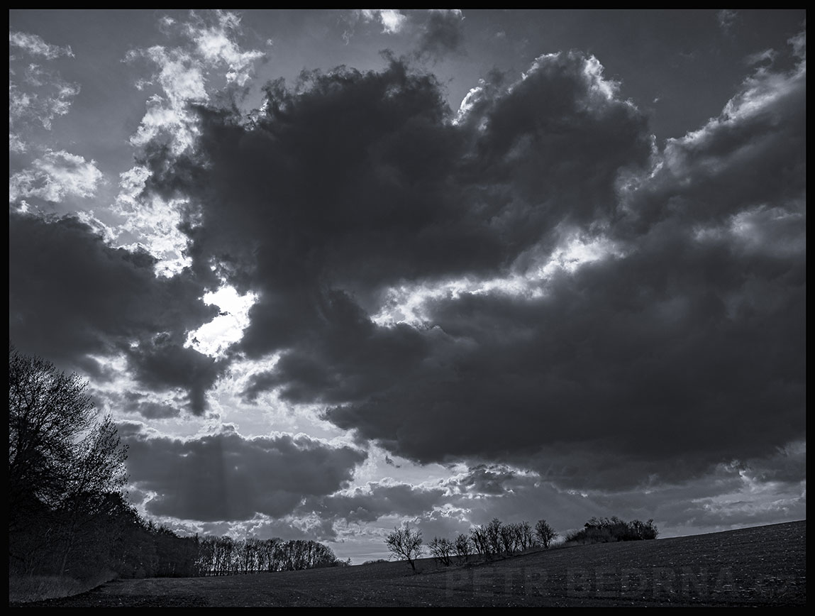Korunáč choholatý jen plachtí a zobe, Hostouň u Prahy, stromy, mraky, okolí, obzor, příroda, Česko