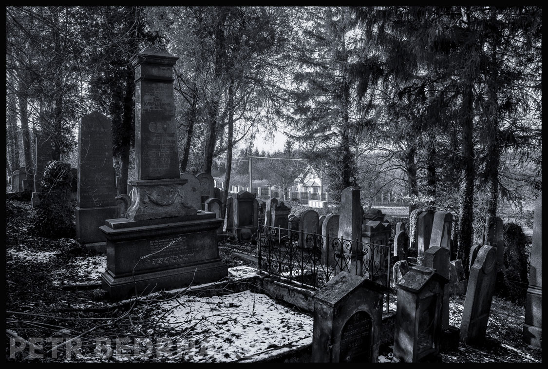 Nový židovský hřbitov v Hostouni, hrobka, Hostouň, Kladno, hroby, stromy, celkový pohled, Česko