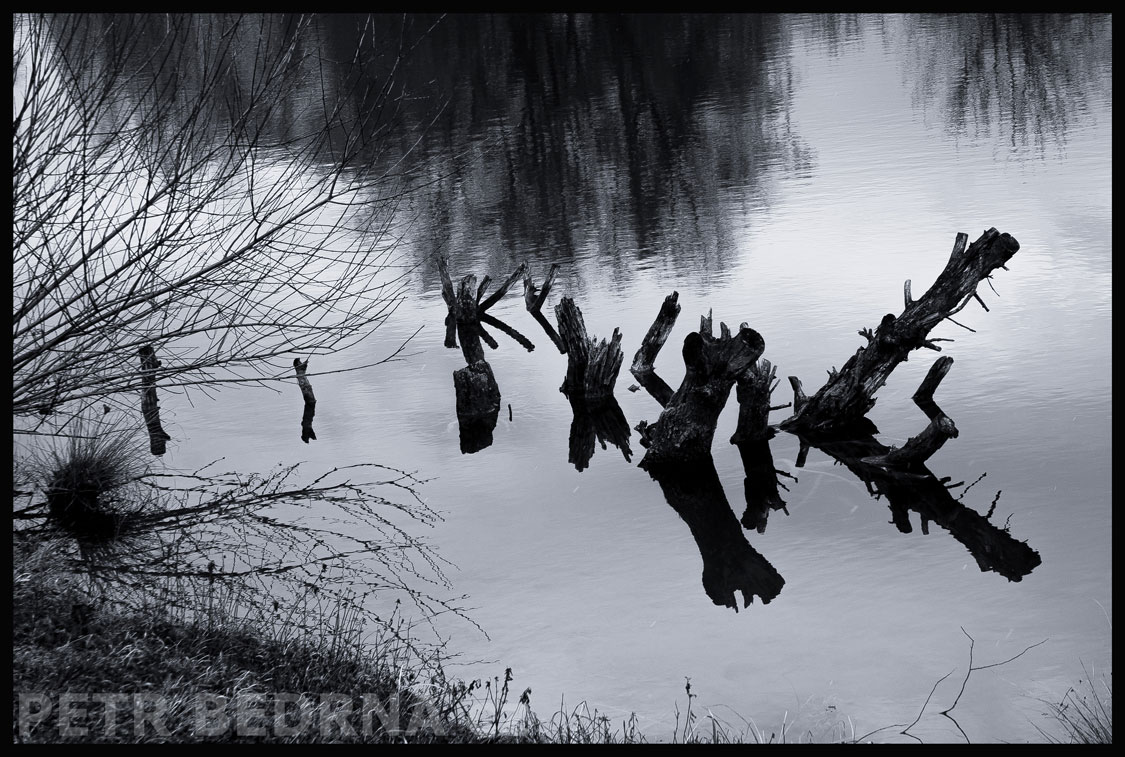 Rodinka při koupání v rybníce Hostouň, Hostouň u Prahy, Dobrovízský potok, příroda, koupaliště, Česko