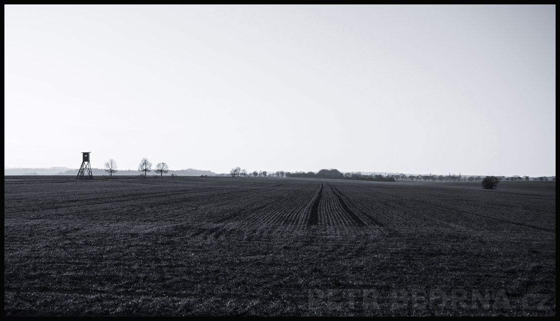 Širé lány směr Hřebeč, Lidice, Kladno, stromy, příroda, horizont, obloha, mlhový opar, Česko